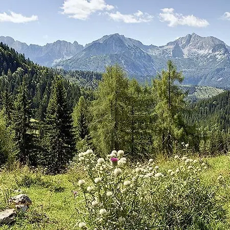 Hotel Spa&aktiv Lavendel Windischgarsten