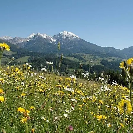 Hotel Spa&aktiv Lavendel 4*